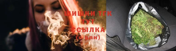 шишки Богданович