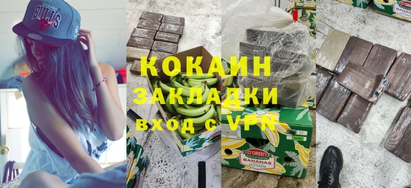 шишки Богданович