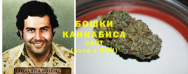 шишки Богданович